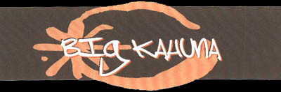 Punk, wie er sein soll...